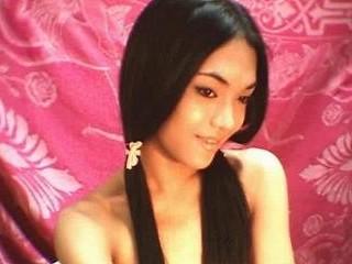TransGirl4u - Alter: 25 / Jungfrau - Alter: 165 / schlank - Geschlecht: transsexuell - Ausrichtung: homosexuell - Haare: schwarz / mittellang - Piercing: keins - BH-Gr&ouml;&szlig;e:  - Hautfarbe: asiatisch - Augen: braun - Rasur: teilrasiert